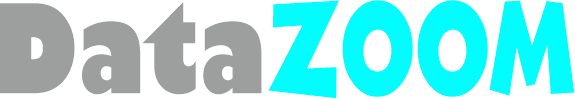 DataZoom: Ваш надежный хостинговый компас в мире онлайн-бизнеса.
